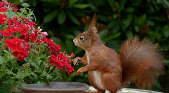 New Launch Sholinganallur , At Sholinganallur, Chennai